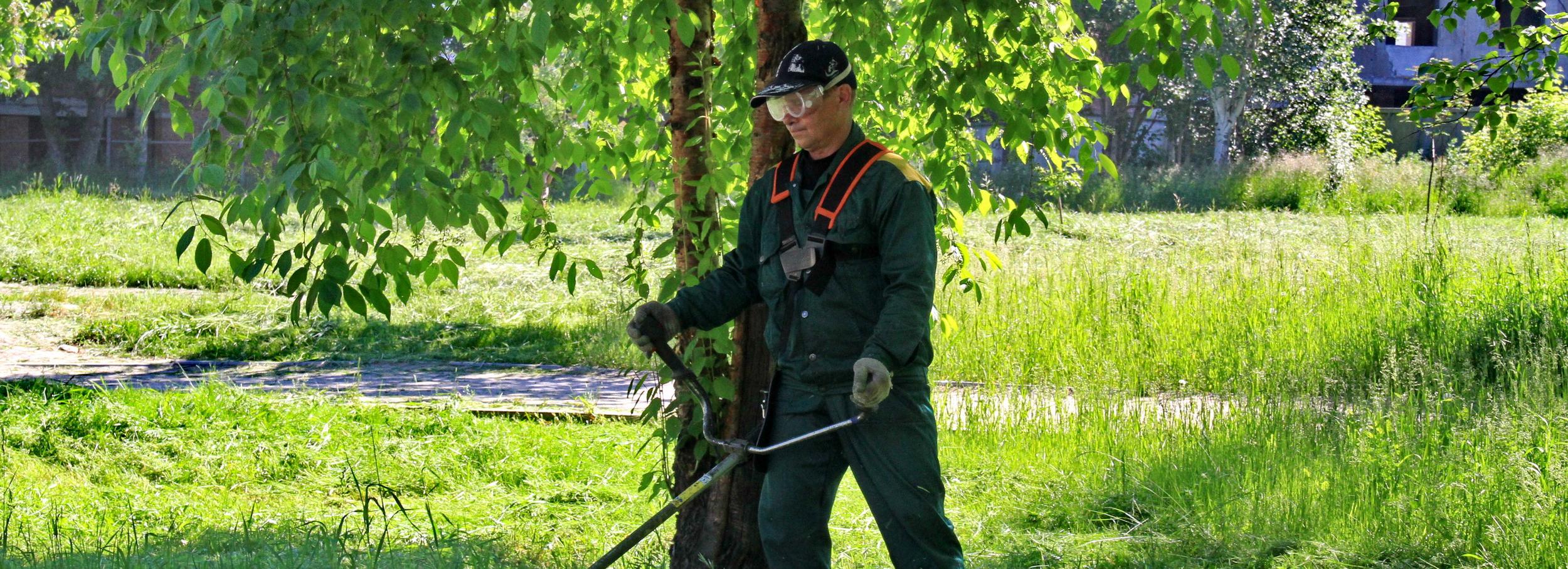 Как охраняют природу в Новосибирске — горячий телефон