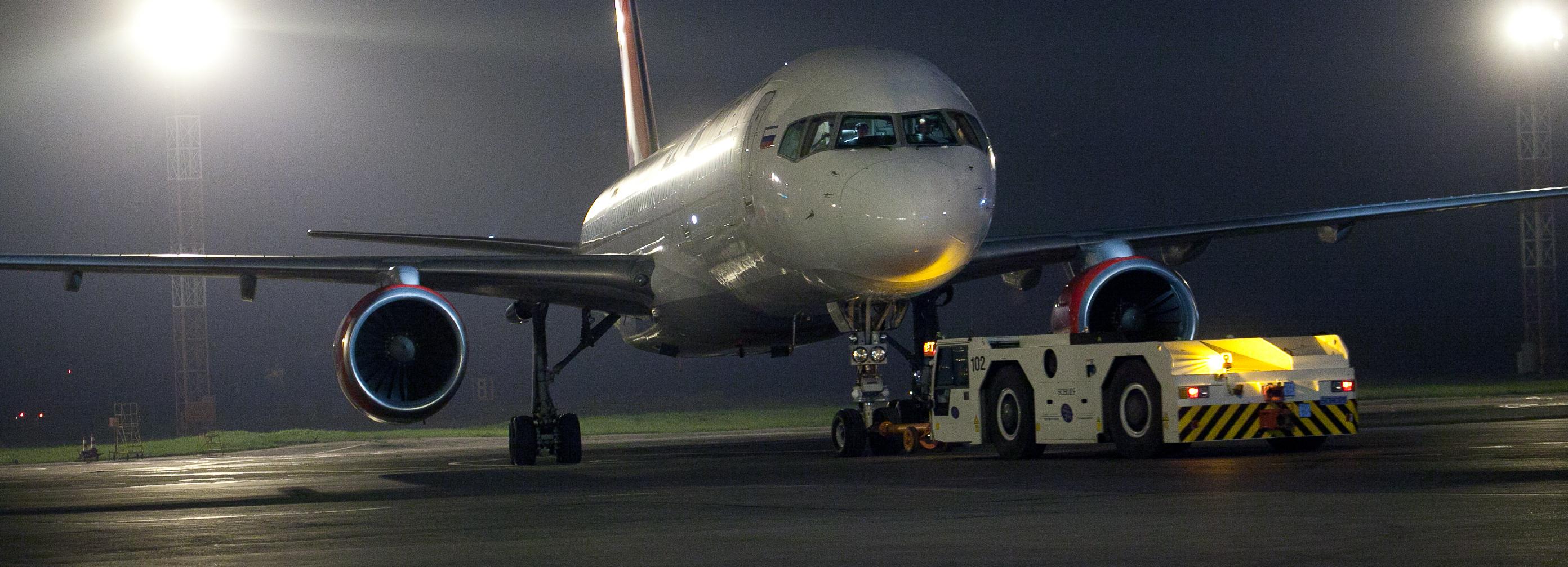 Горную курочку и голубей-нелегалов задержали в аэропорту Толмачёво