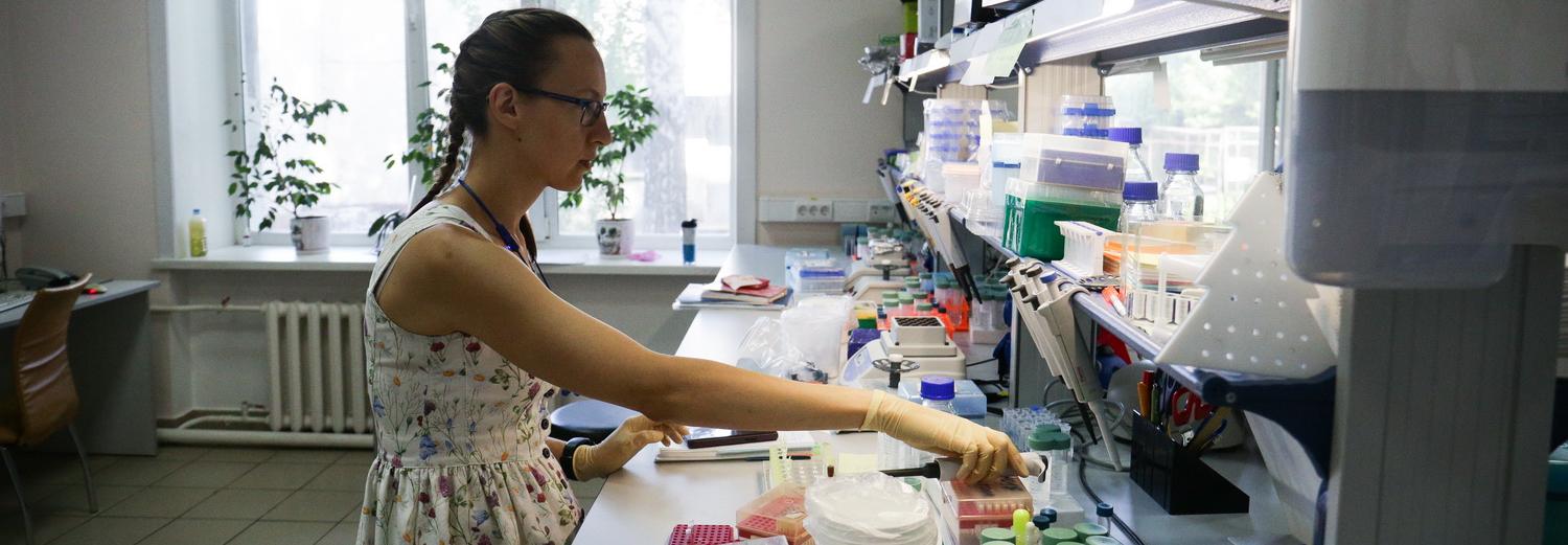 Новый гибрид клеща обнаружили новосибирские учёные