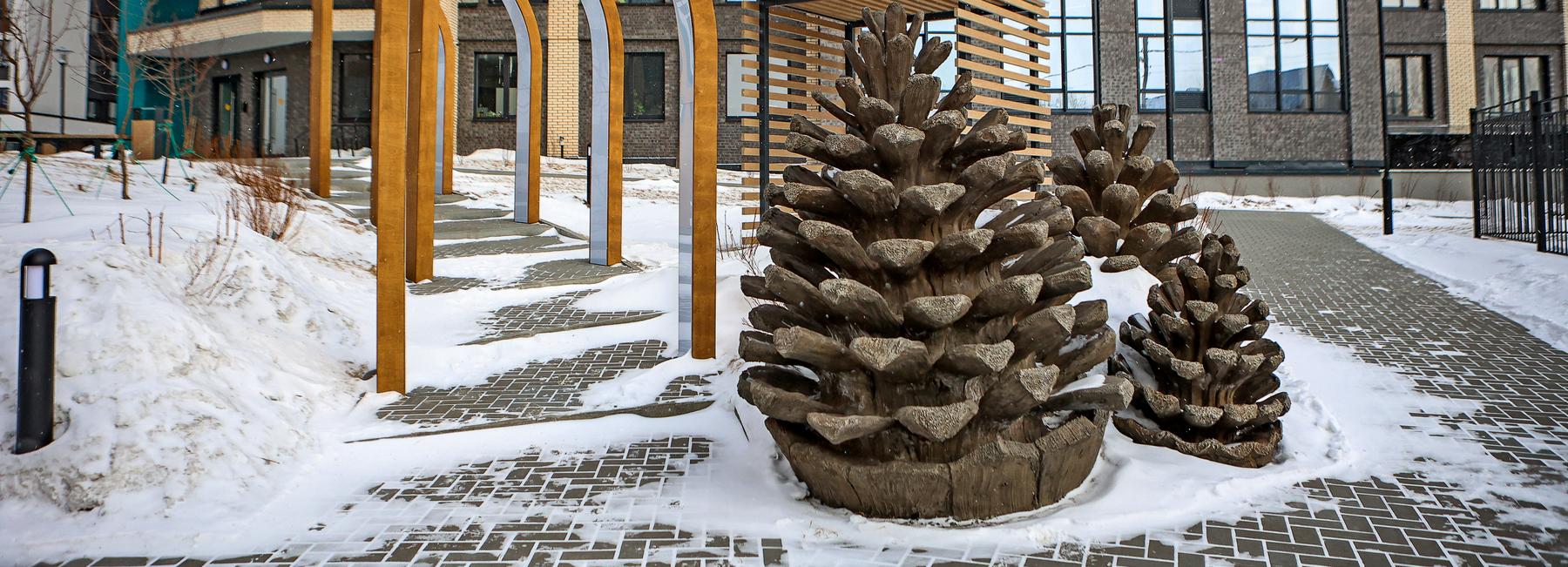 Нью-Сухарка: ветра с реки, бор до горизонта и вид на будущий пятый мост