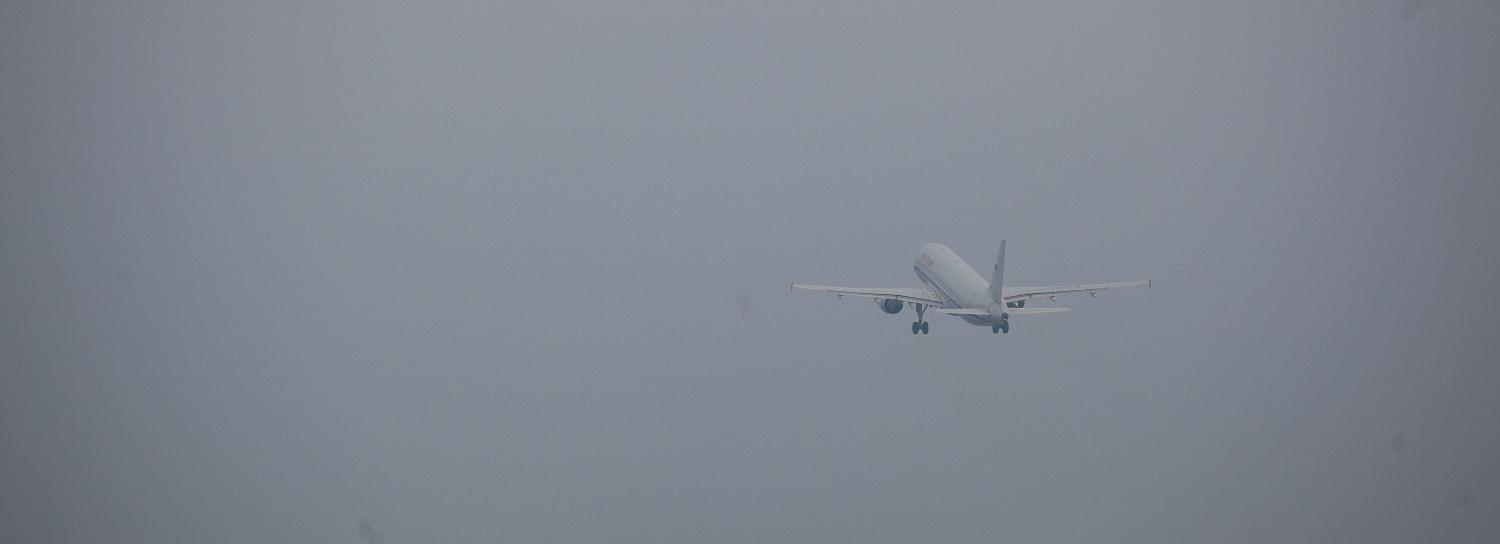 Двух дебоширов осудили за нападение на полицейских в Толмачёво