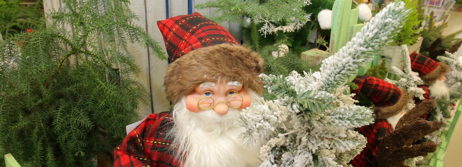 Восемь идей, чем заменить ёлку на Новый год в квартире