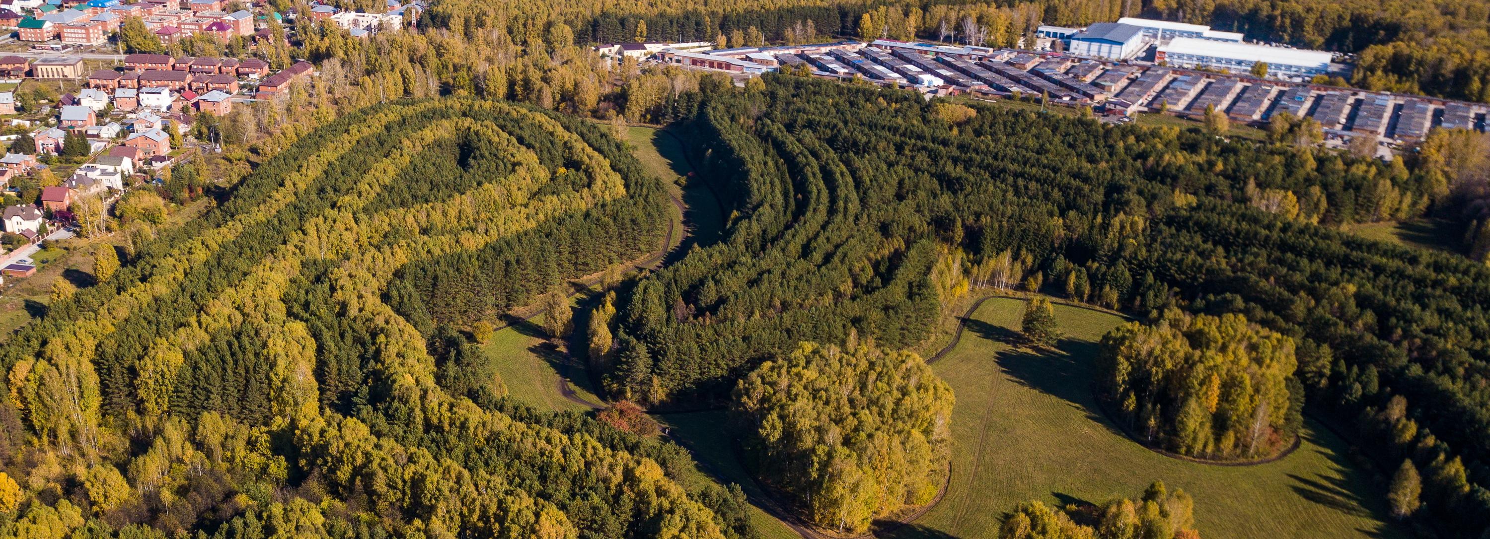 Загадочный лес под Новосибирском стал особо охраняемой территорией