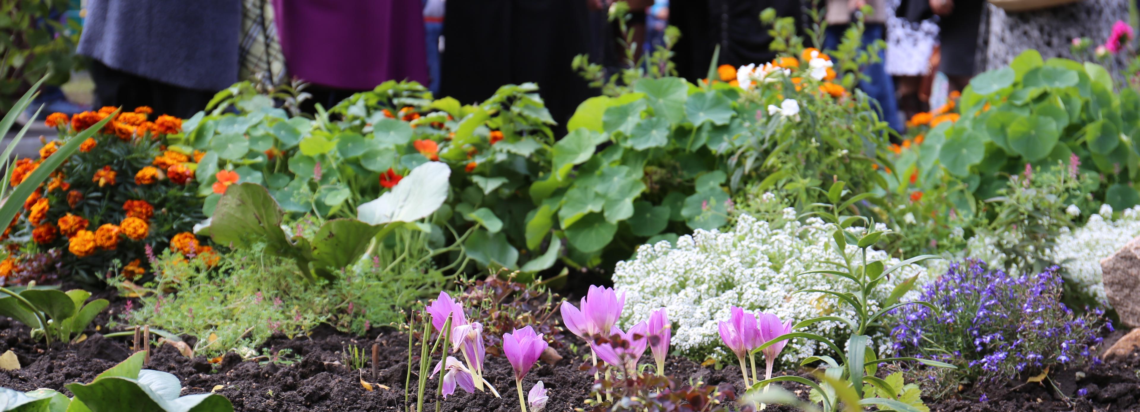 Пять миллионов рублей вложили в проекты ТОСов в Советском районе