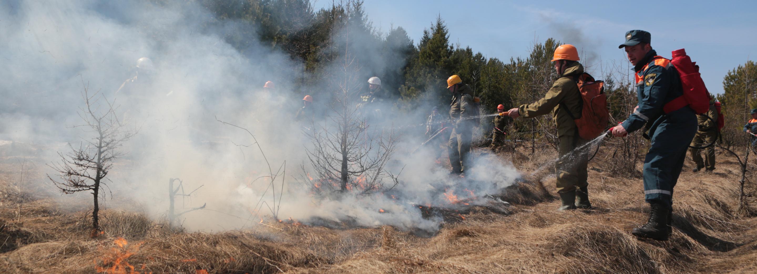 Сухая и жаркая погода увеличила риск пожаров в Новосибирске