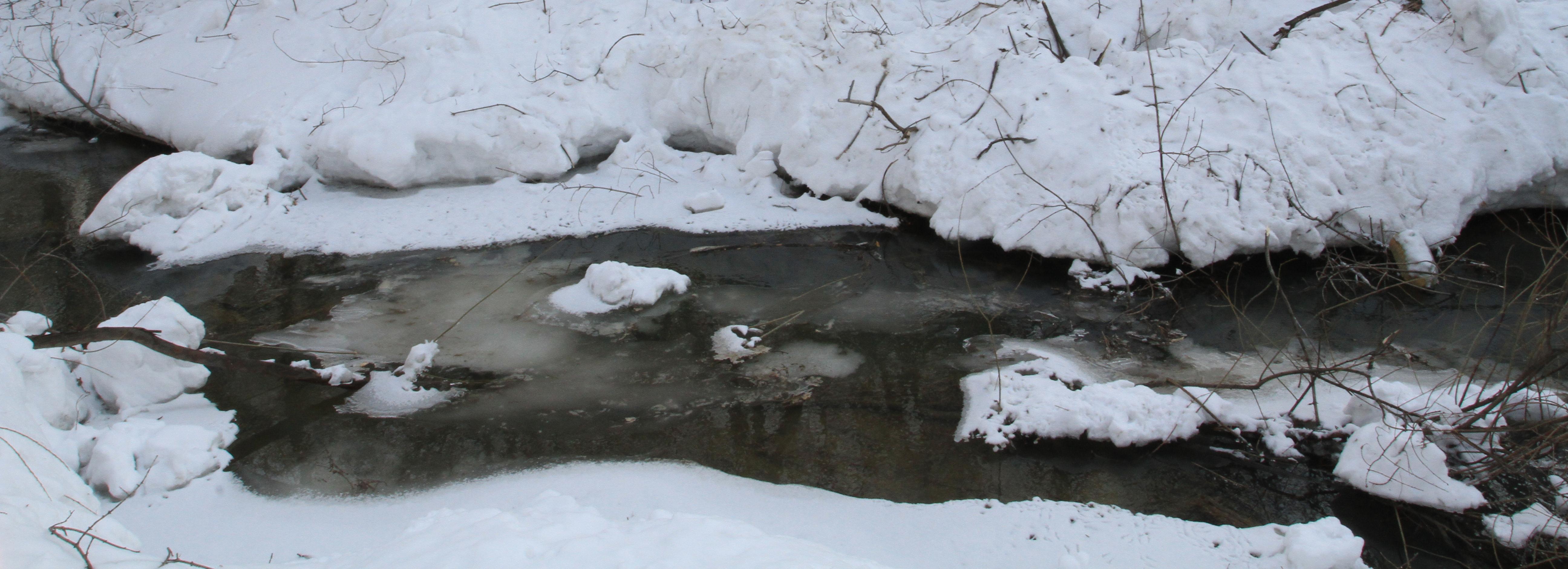Апрельские снегопады не повлияли на паводок в Новосибирской области