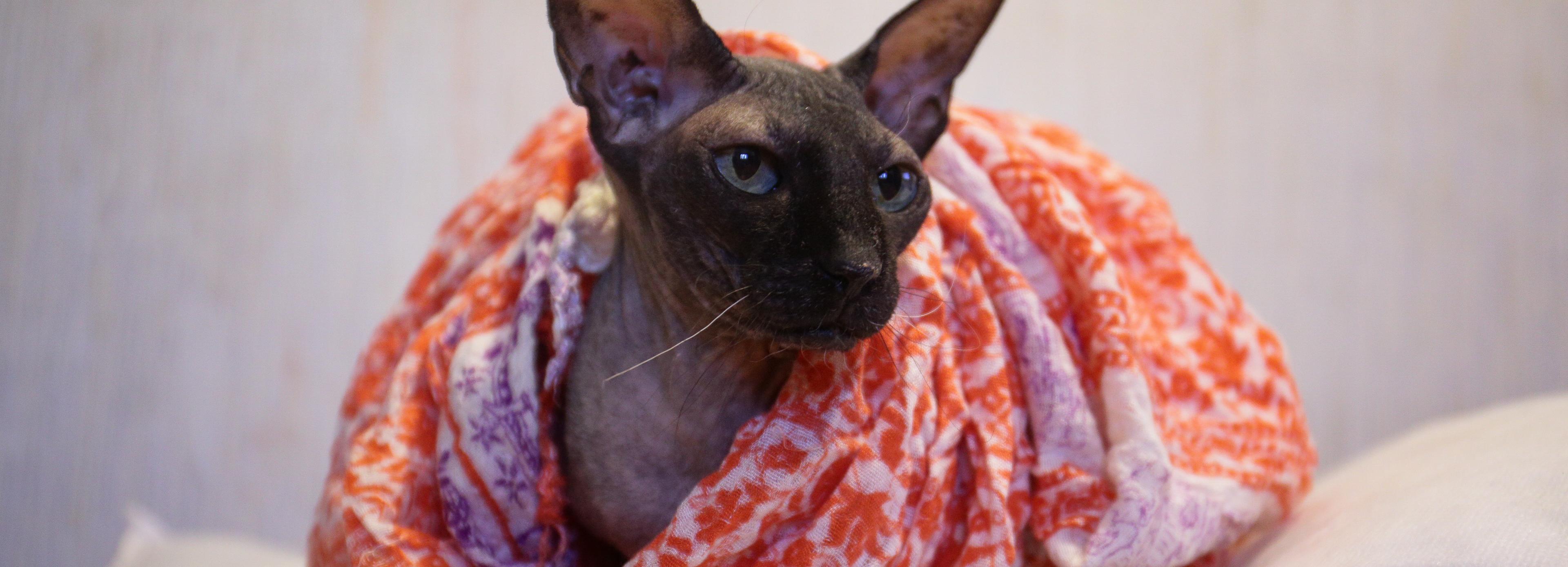 222 здания отключили от тепла в Новосибирске