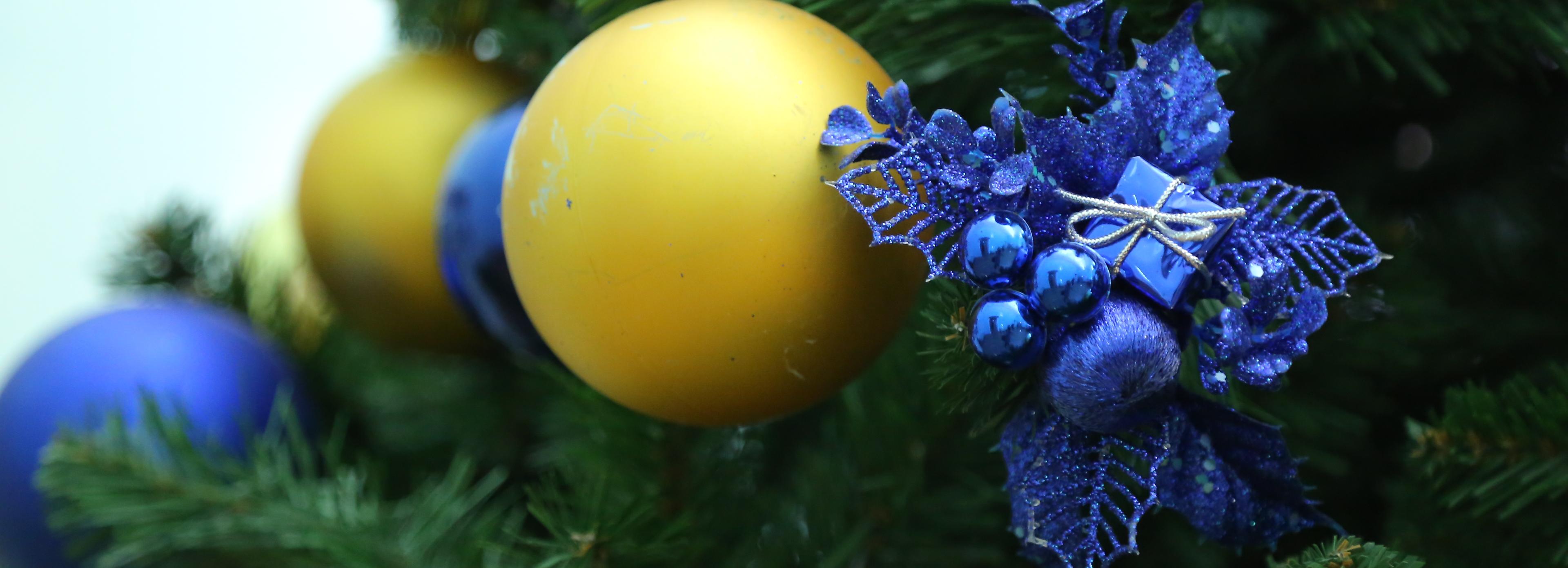 Онлайн-конкурс научных ёлок объявили в Новосибирской области