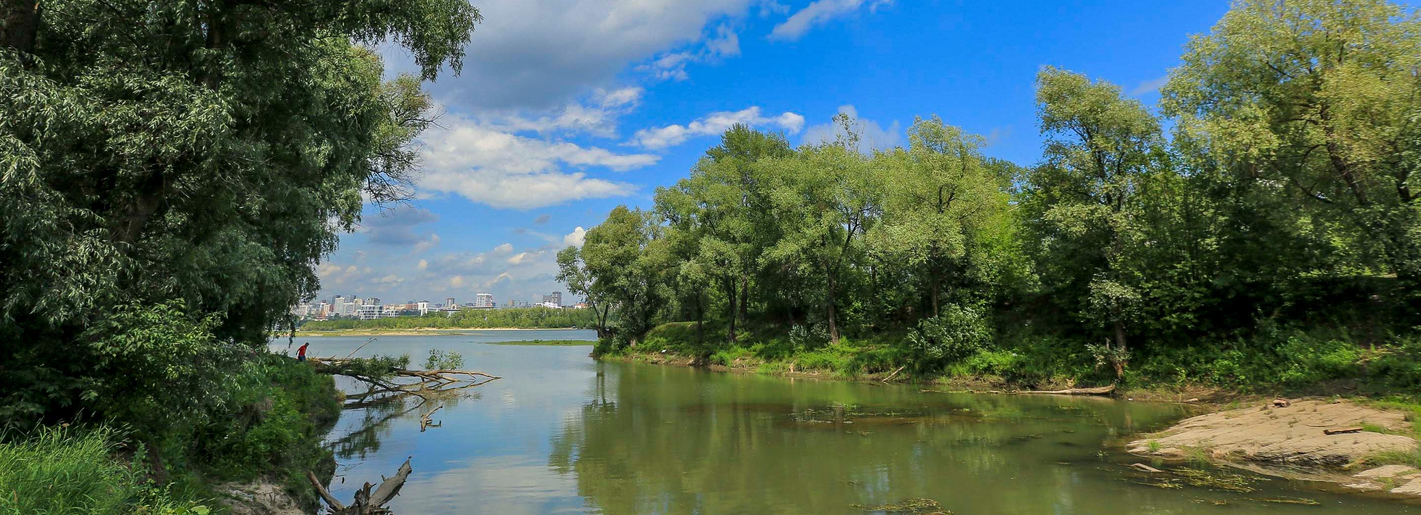 «Усть-Тула» станет самым большим парком города — что там есть сейчас
