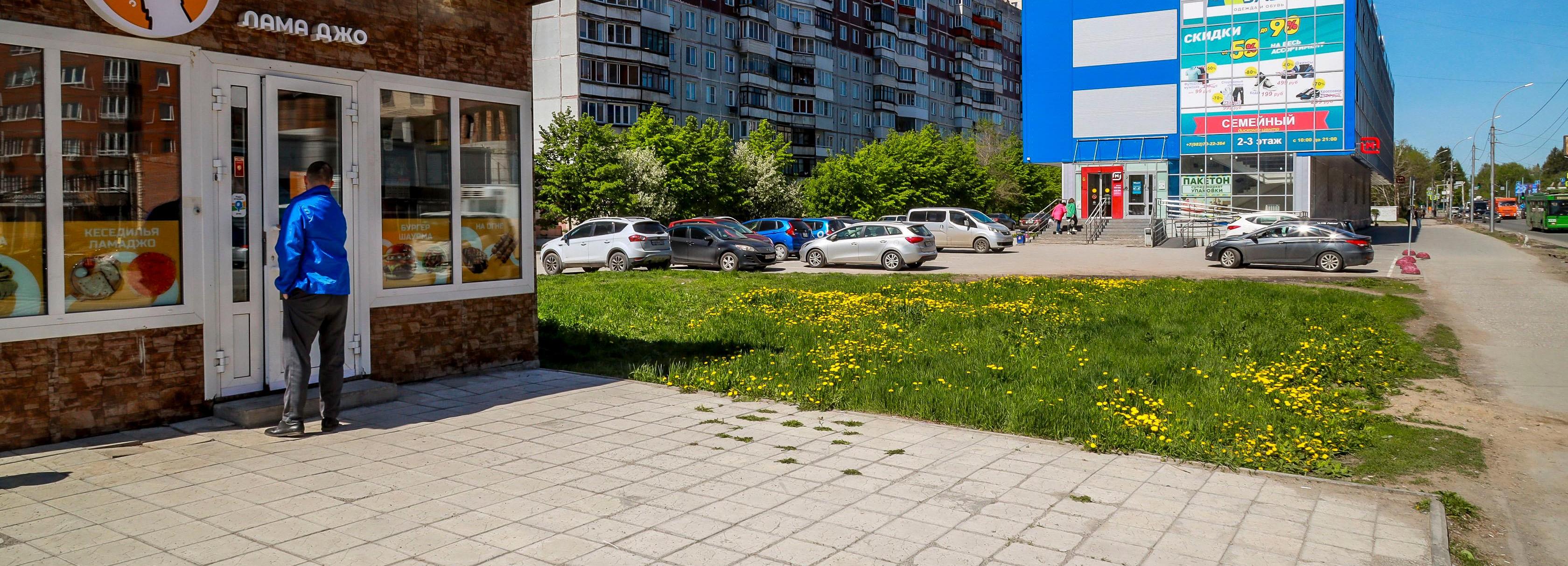 «ПаркНет», штрафы и полусферы: газоны Новосибирска спасают от автохамов