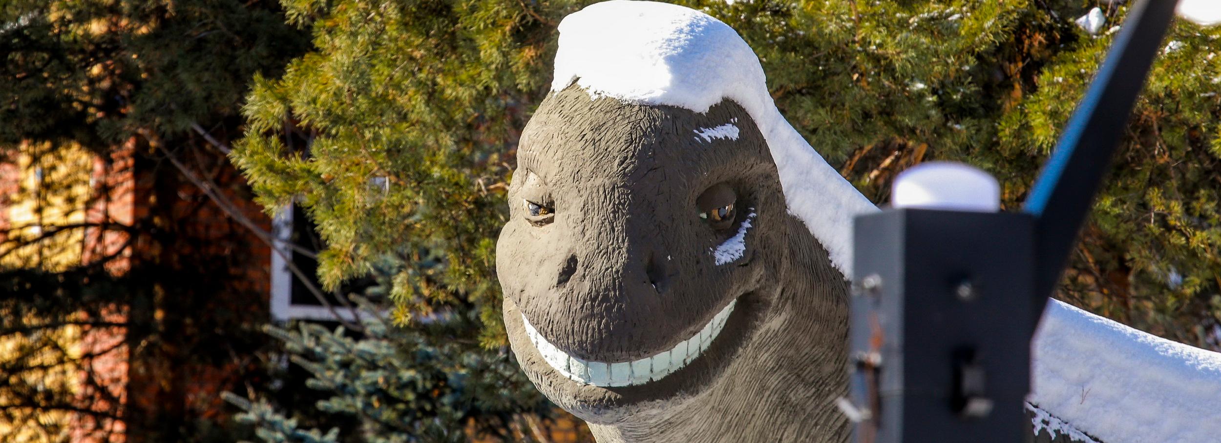 Афиша Новосибирска: куда сходить в четверг, 12 января