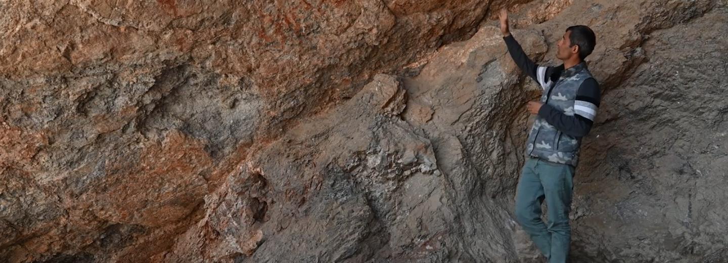 Новосибирцев зовут в онлайн-тур по гроту Шахты с рисунками каменного века