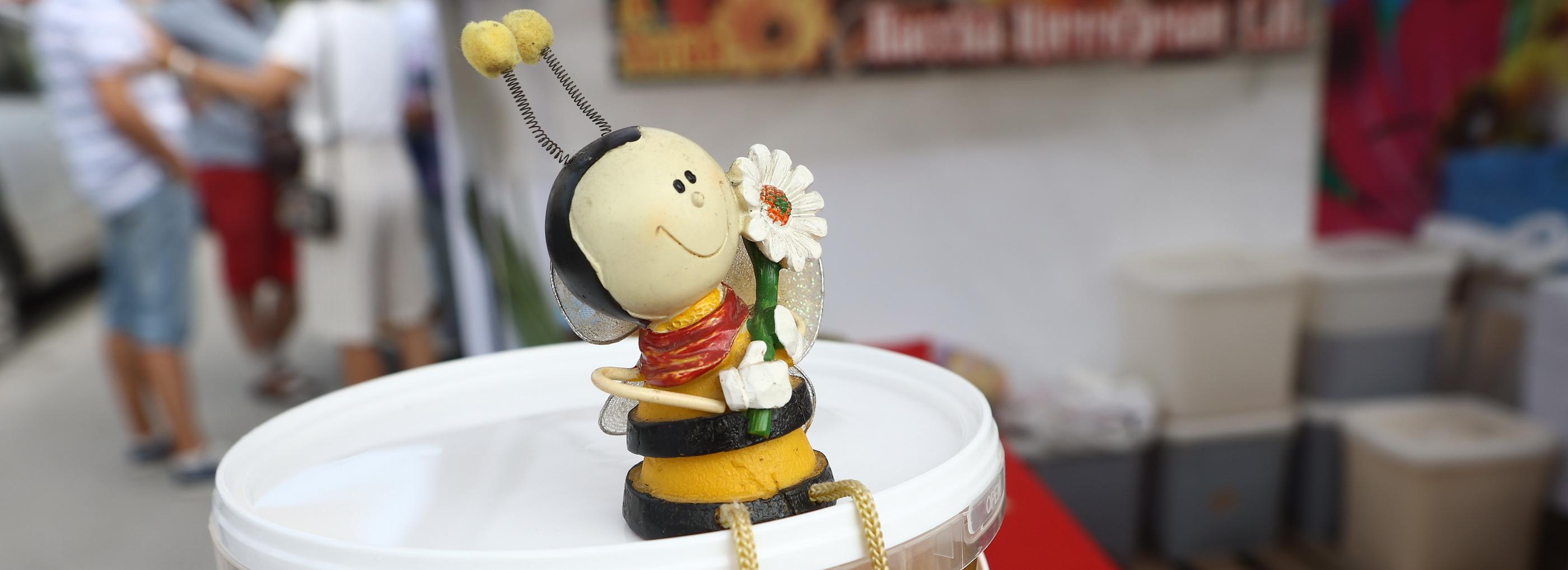 Редчайшие меды с Кавказа предлагают на ярмарке у ГПНТБ в Новосибирске