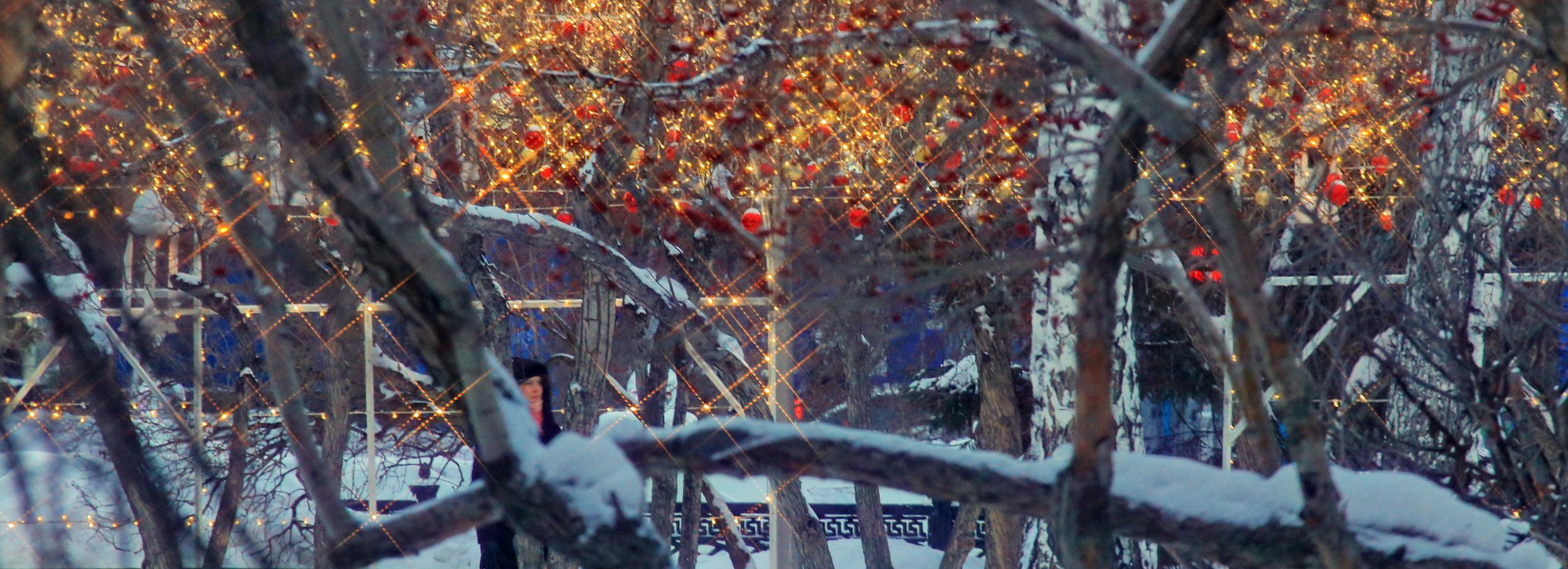 От фейерверка и концерта на Новый год решили отказаться в Новосибирске