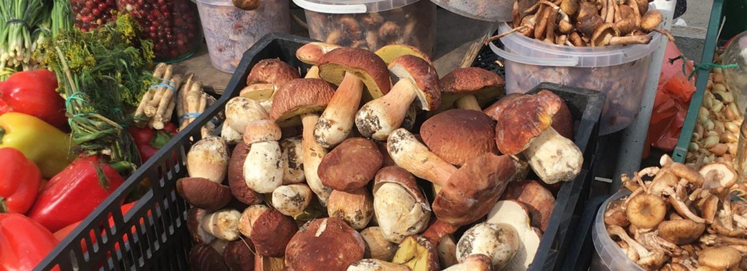 Сельхозярмарку развернут на два дня у Новосибирского цирка