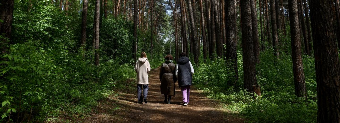 Инюшенский бор очистят от ветхих деревьев и высадят новые хвойные