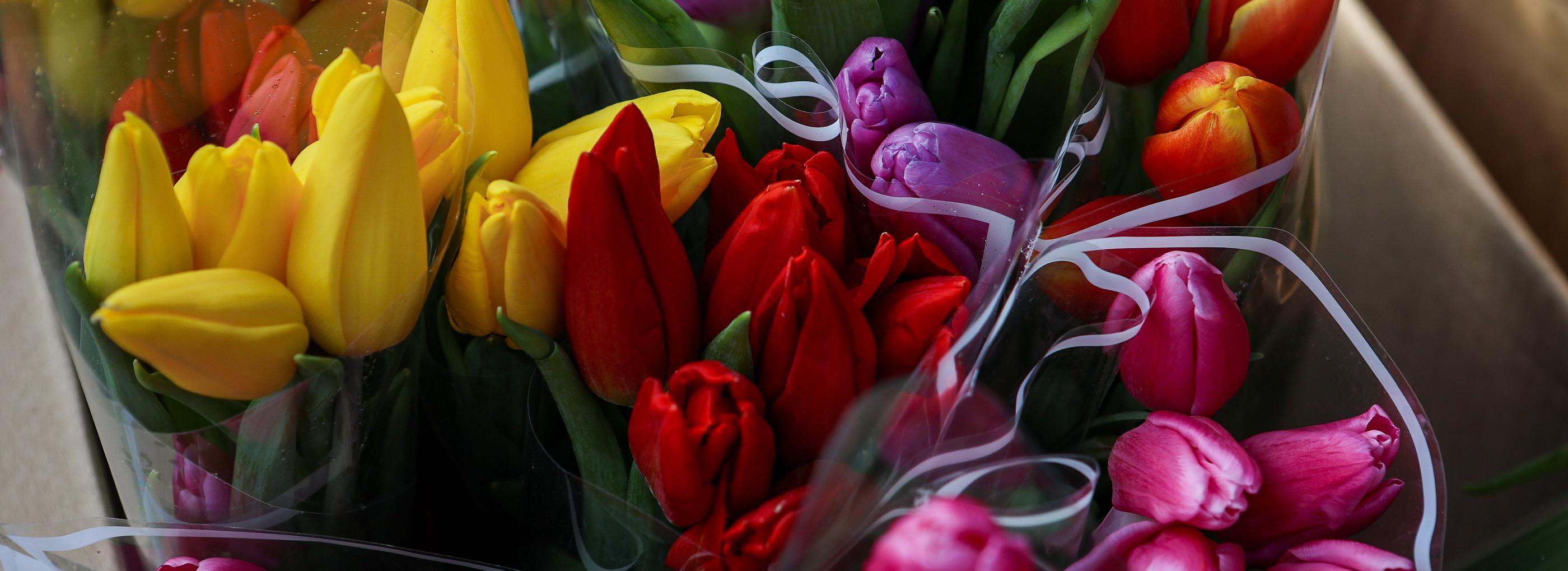 Задержали, чтобы поздравить: приставы и инспекторы ГАИ раздали тюльпаны