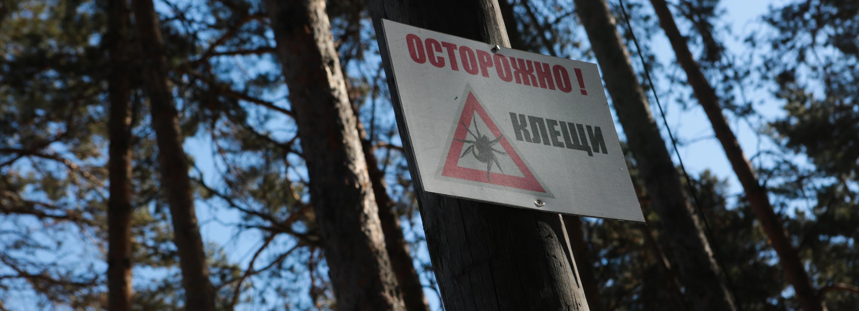 Второй пациент умер после укуса клеща в Новосибирской области