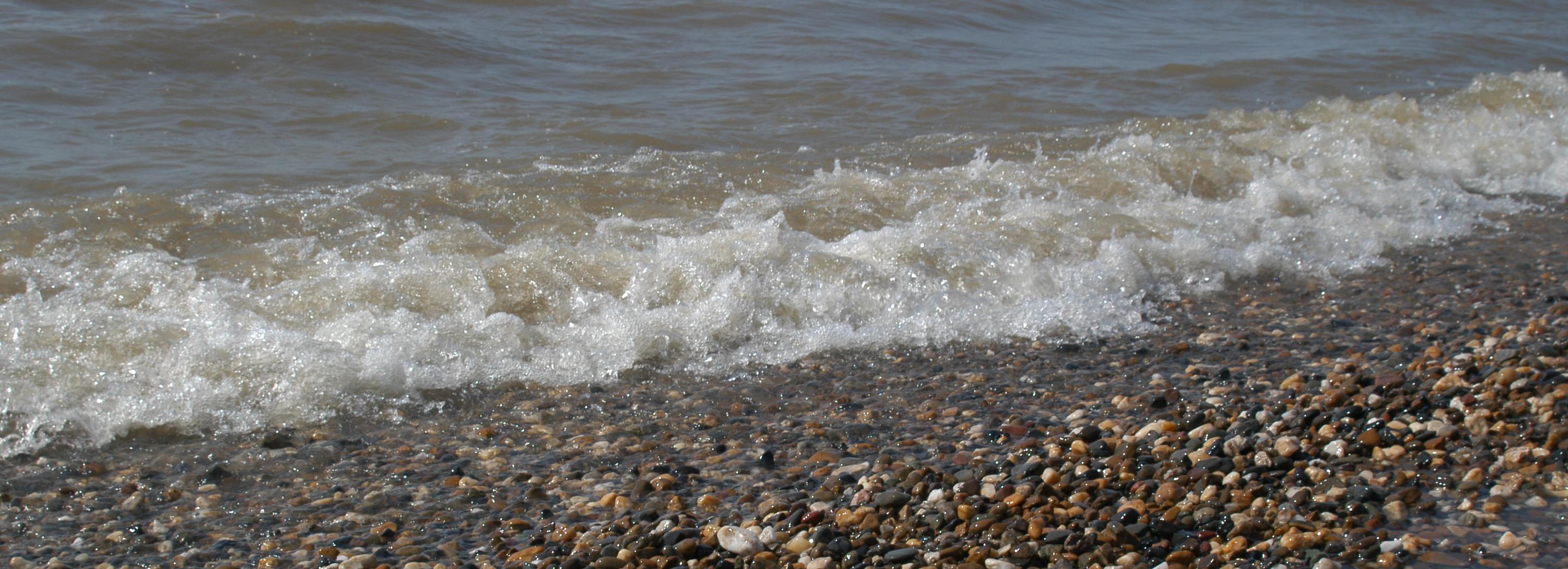 Осторожно, мазут: как помочь Анапе после экологической катастрофы