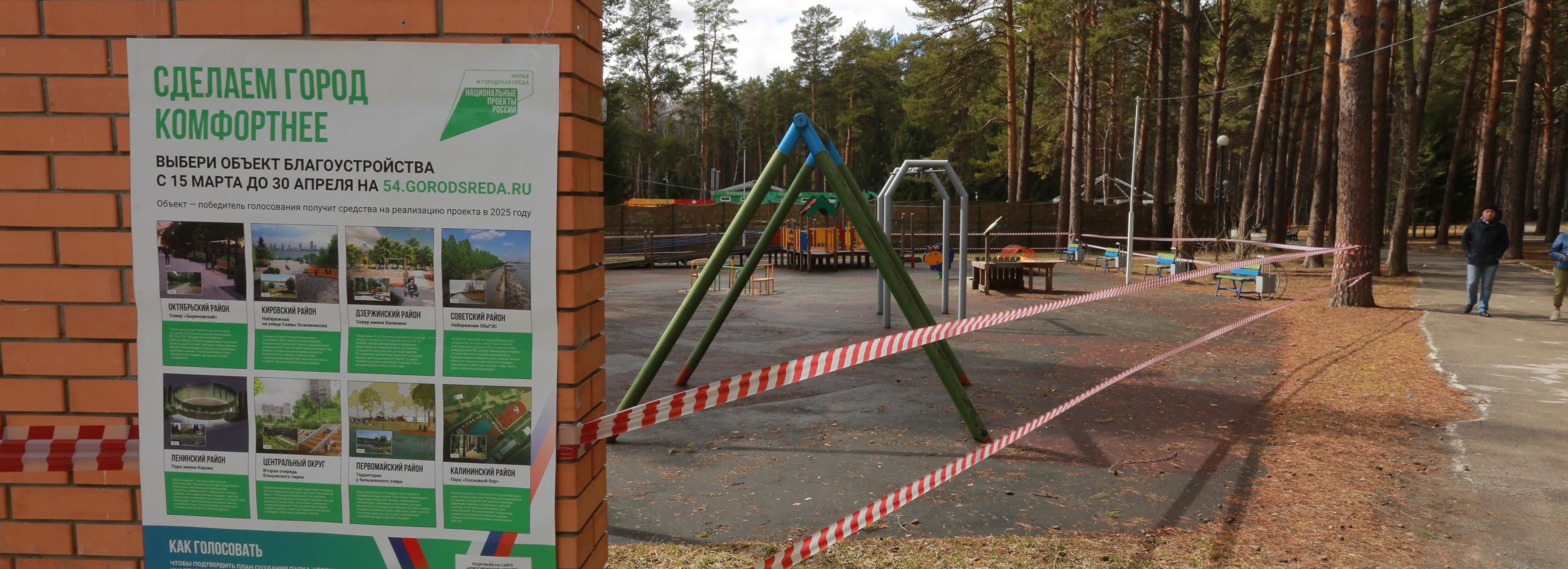 Девять часов осталось до завершения зелёного голосования в Новосибирске