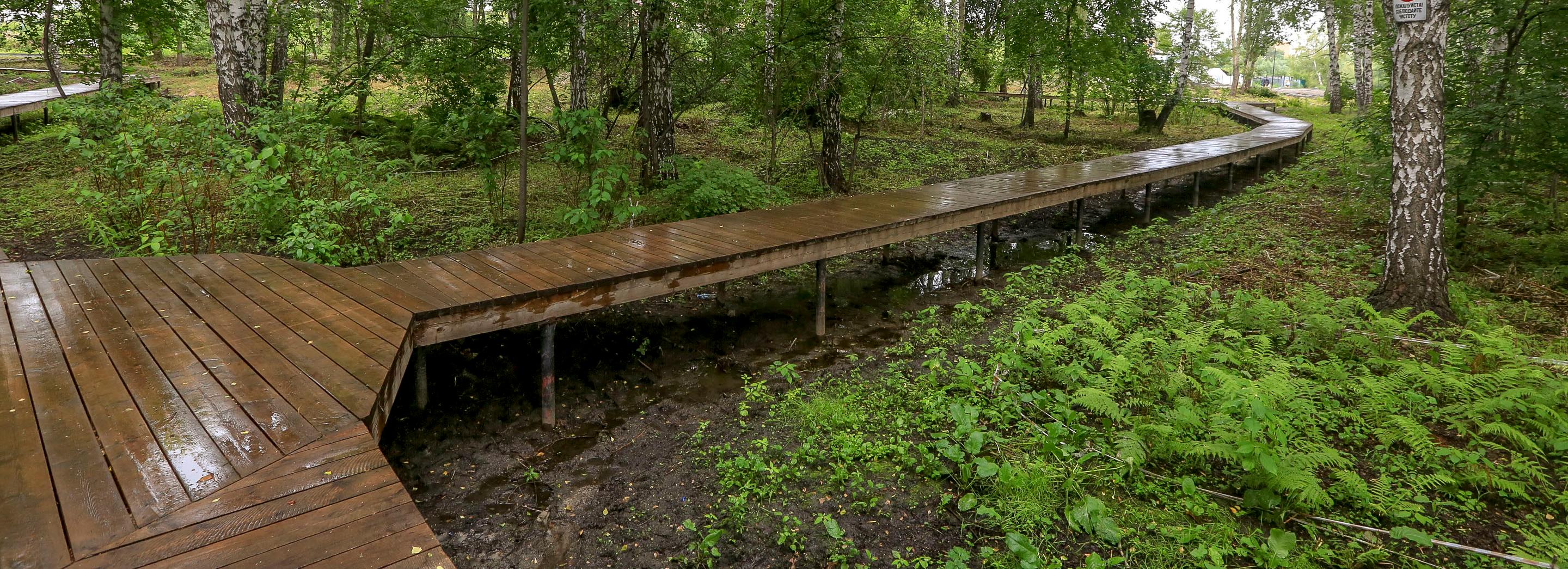 Как выглядит готовый на 70% парк «Каменка» — смотрим фото