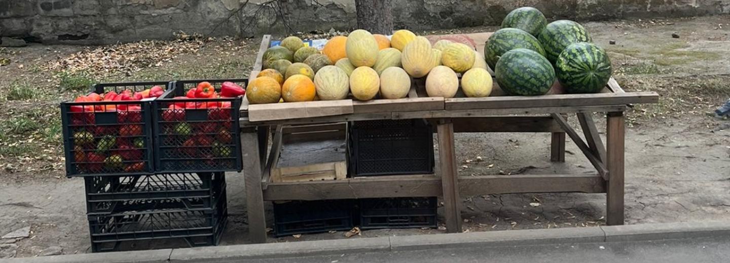 Два центнера арбузов, дынь и перцев изъяли у нелегалов на 25 лет Октября