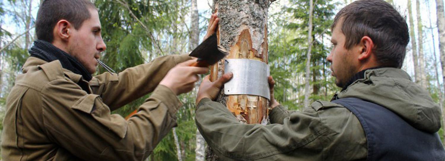 Останки новосибирского красноармейца нашли в Мясном бору