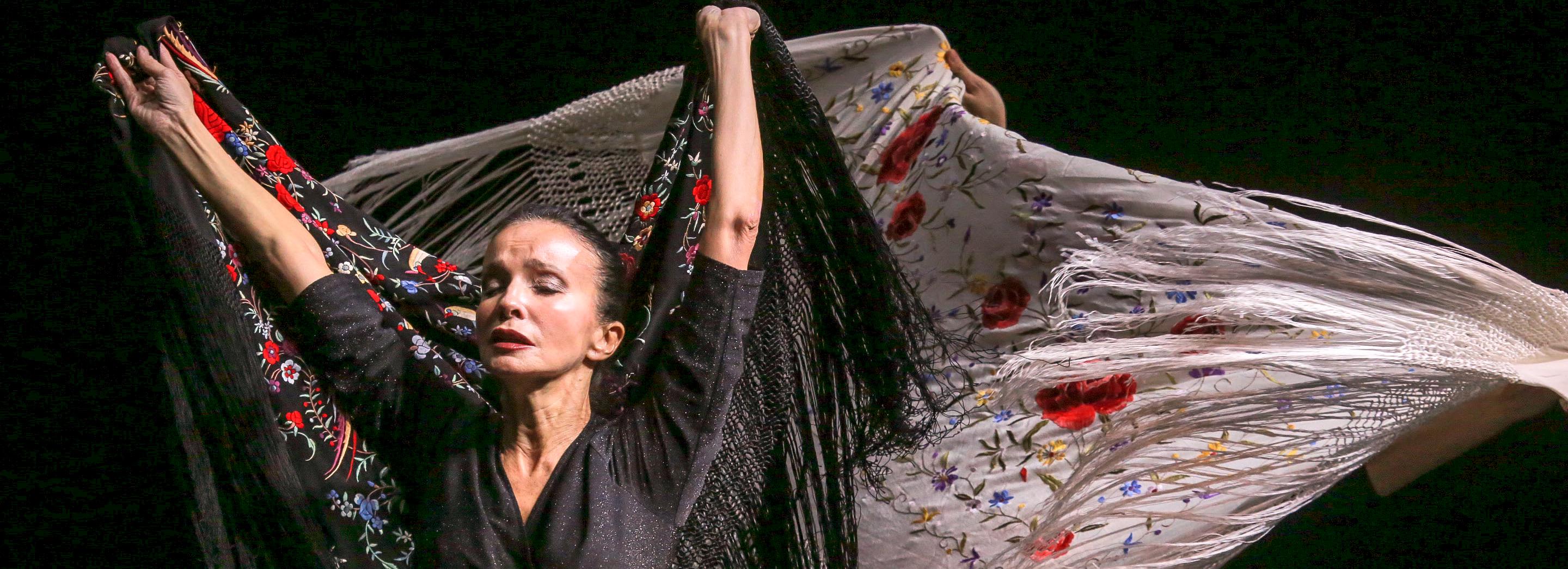 Мультижанровый спектакль «Нунча» Аллы Сигаловой увидели новосибирцы