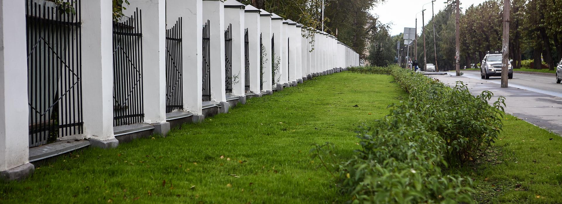 Об изменении подхода к озеленению Новосибирска заявил мэр Кудрявцев