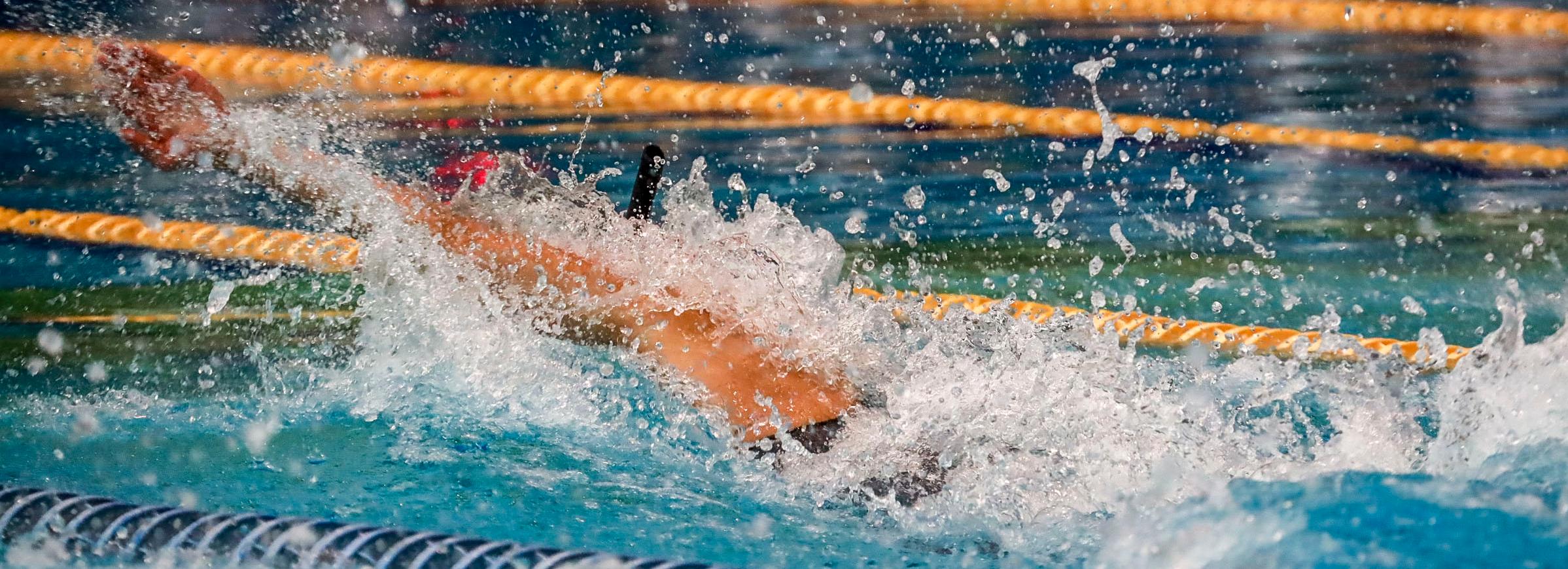 Мэр Кудрявцев поздравил новосибирских пловчих с победой в Будапеште