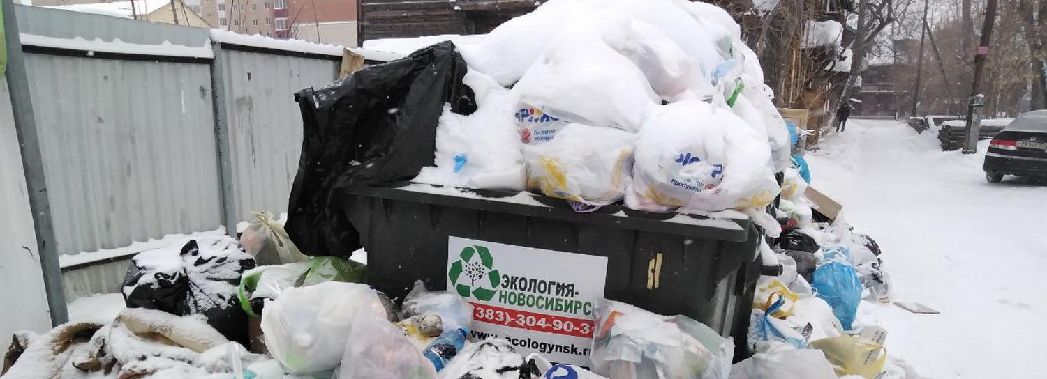 Проблемы с вывозом мусора в Ленинском районе объяснили техническим сбоем