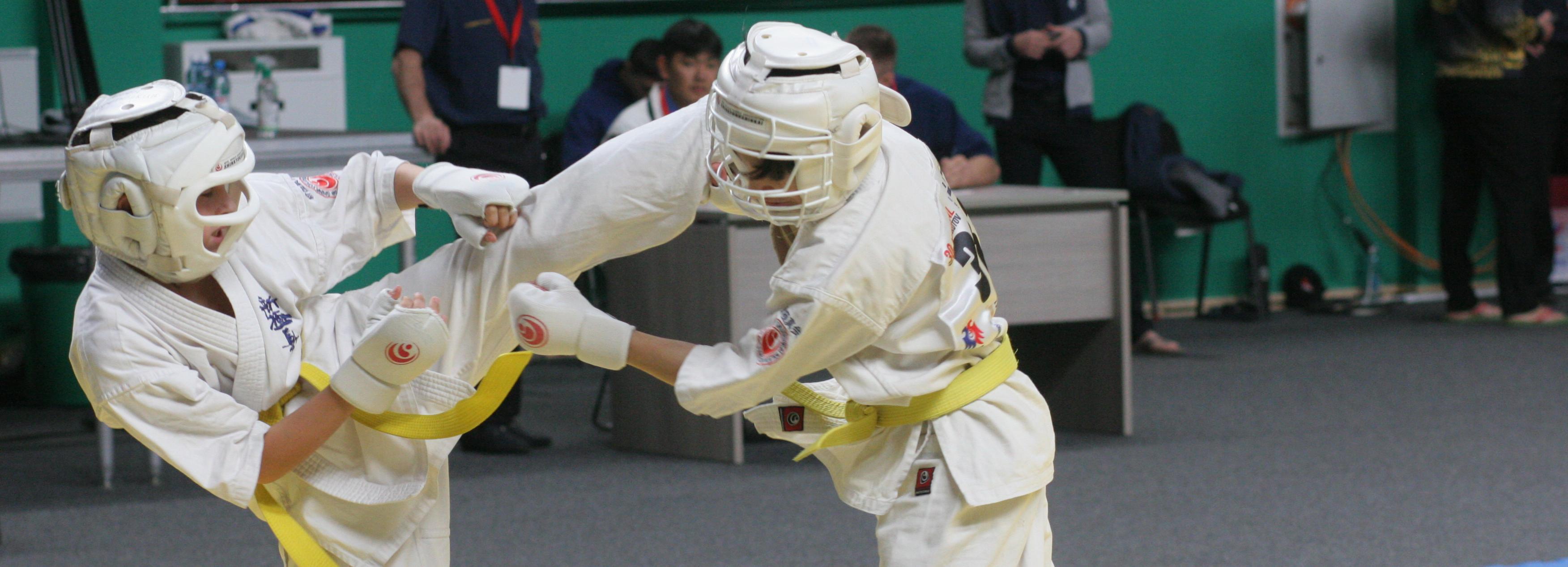 Спортсмены из Турции и ОАЭ приедут в Новосибирск на турнир по киокусинкай