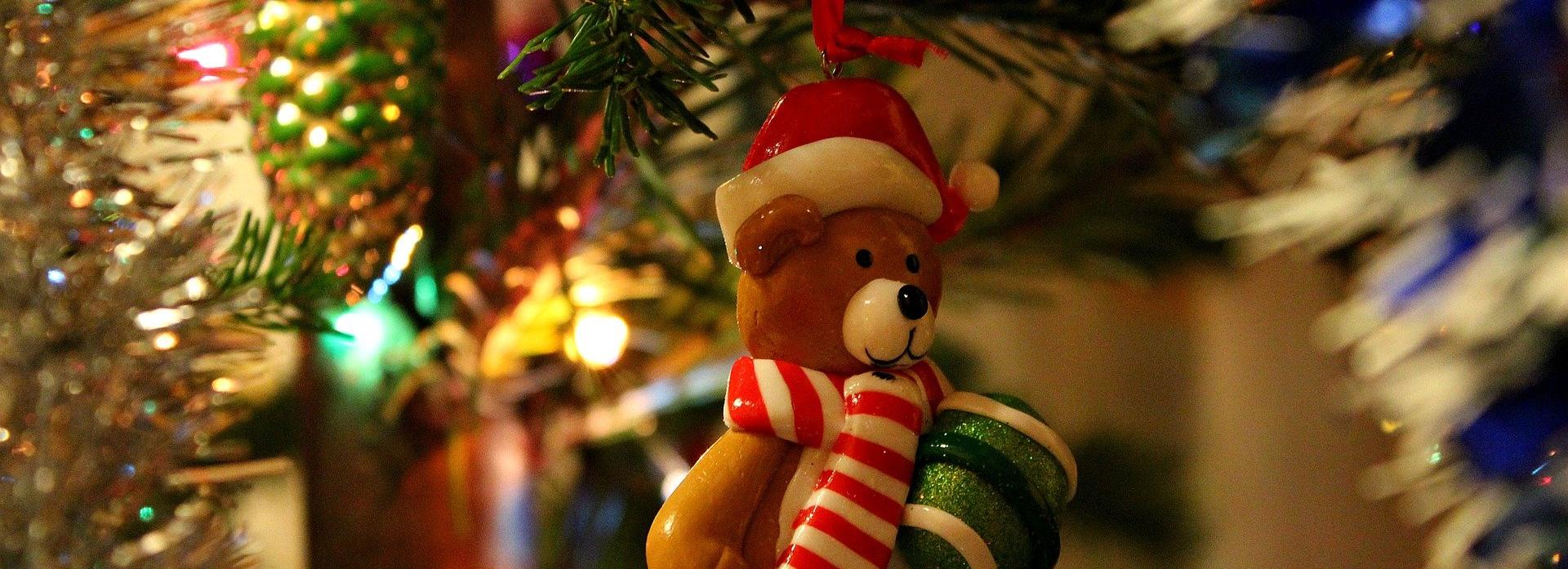 Игрушки для новогодней ёлки в зоопарке просят смастерить новосибирцев