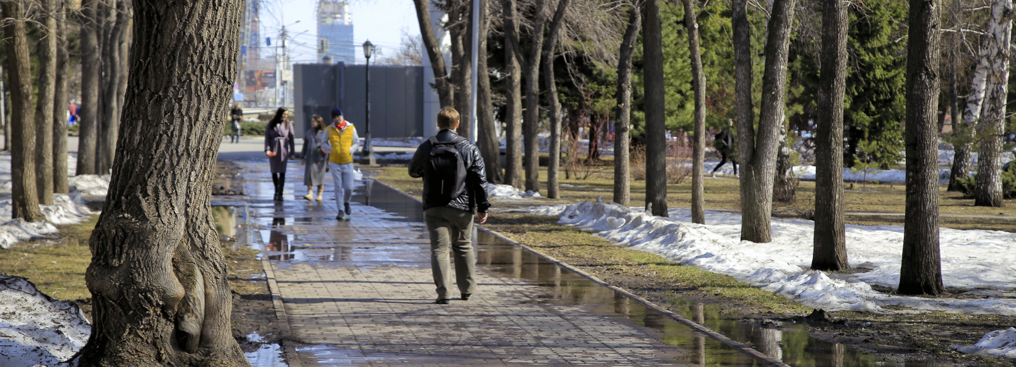 Прогноз погоды на апрель: в третьей декаде потеплеет до +20 градусов