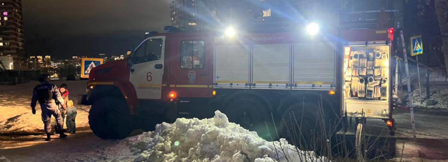 В Новосибирске за неделю потушили 27 пожаров, один из них устроила собака