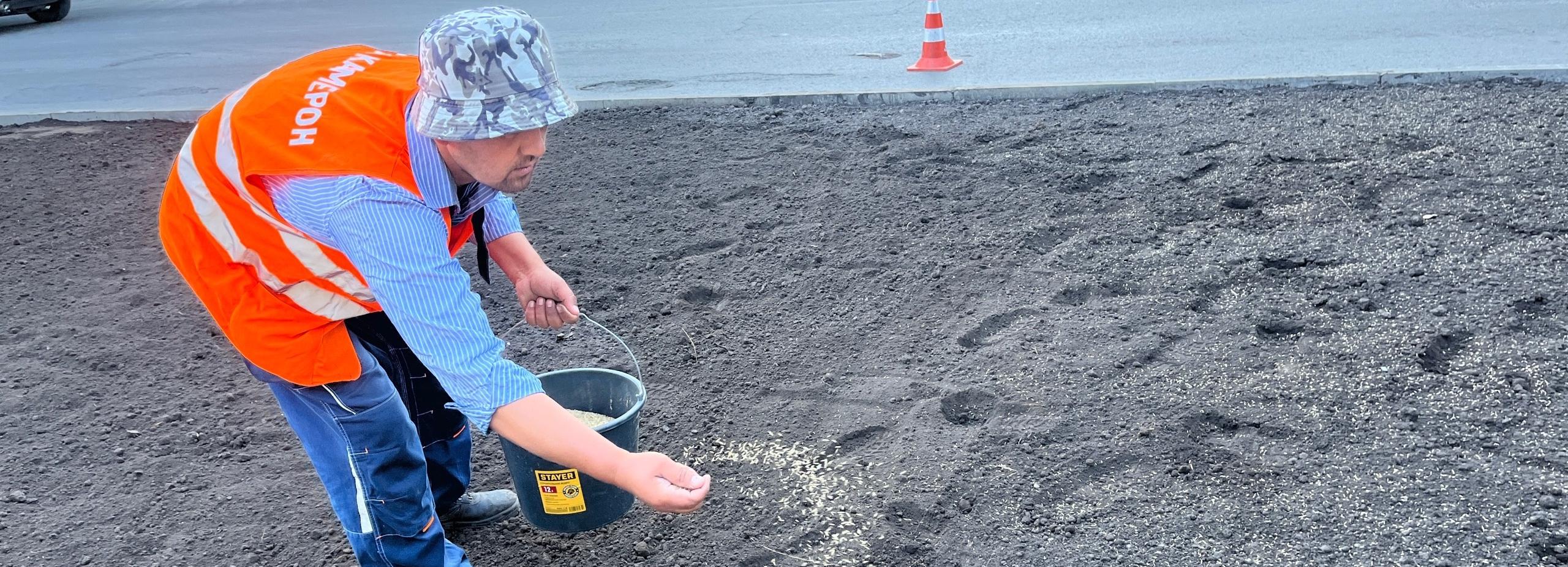 Потерявшие привлекательный облик газоны «оживят» в Новосибирске