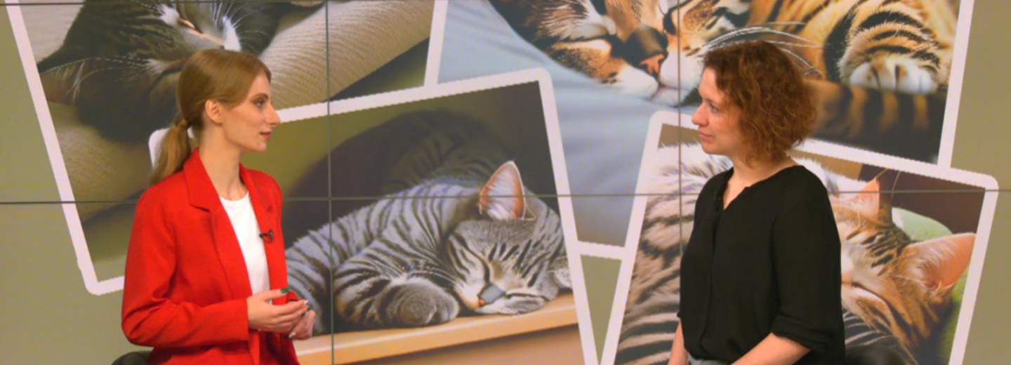 Правила сна: сомнолог о проблемах сов, снотворных и ночных кошмарах