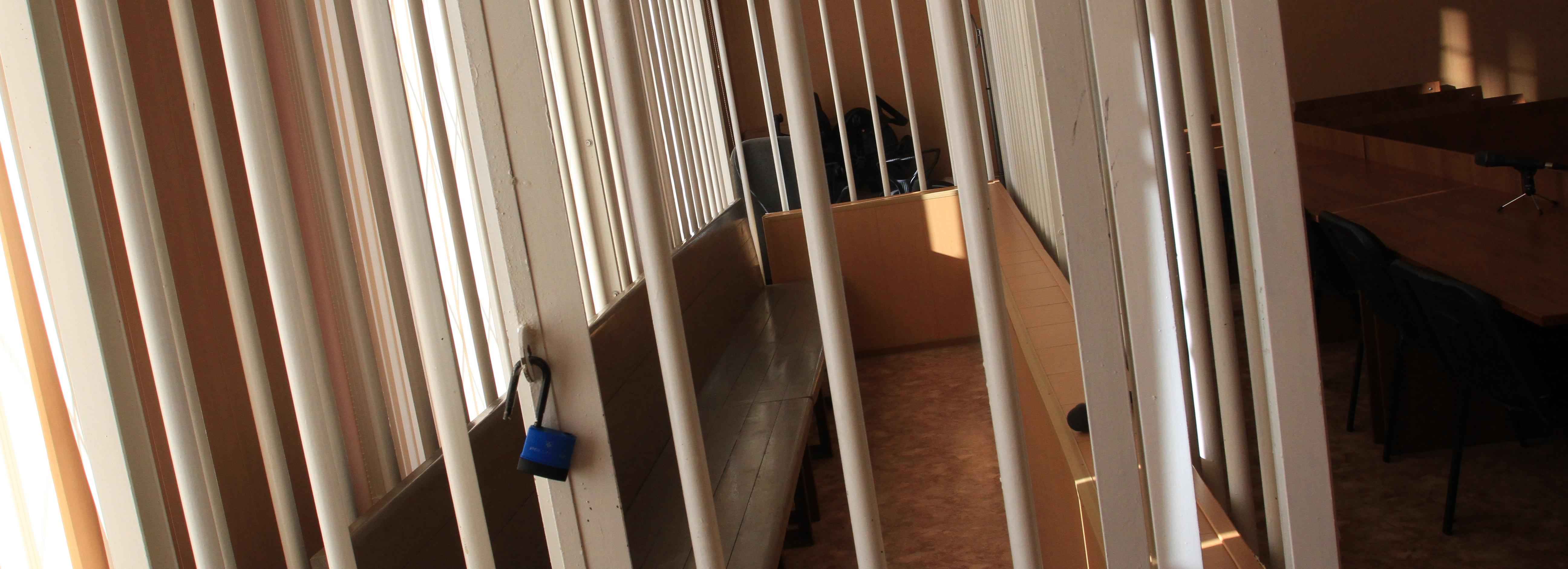 19-летнего новосибирца отправили в колонию за жестокое убийство кошки