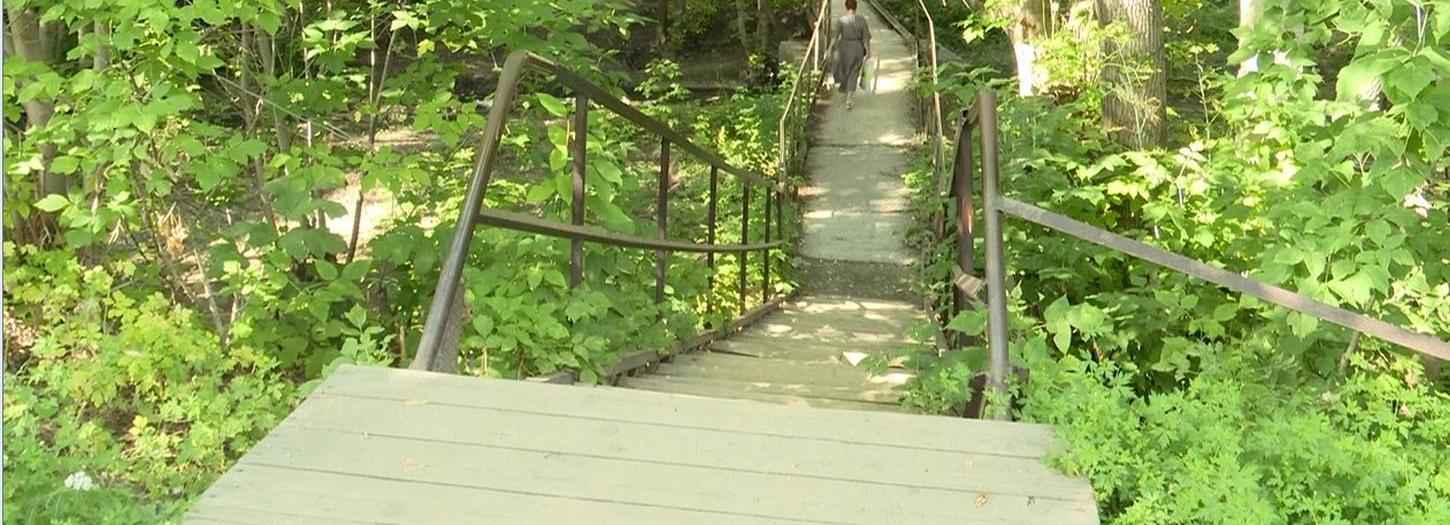 Дизайн-проект парка «Чербузы» обсудят 1 июля с горожанами