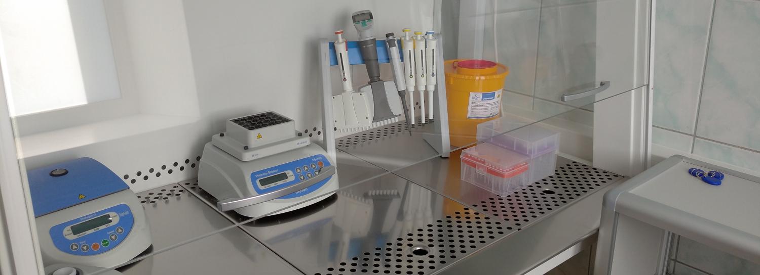 Бесплатные ПЦР-тесты будут делать семьям больных ковидом новосибирцев