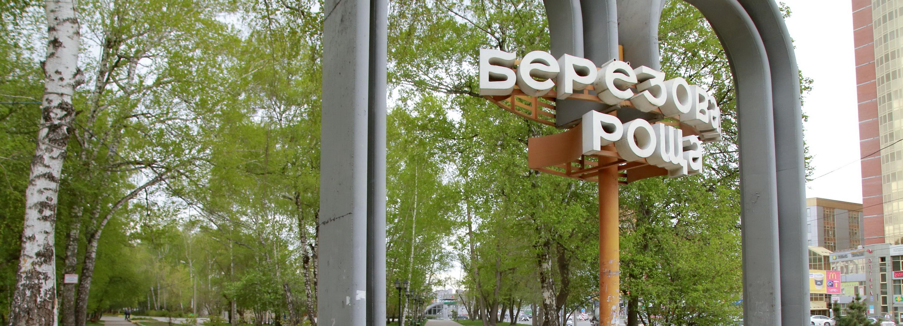 Две сотни тополей и цветущих яблонь высадят в Берёзовой роще