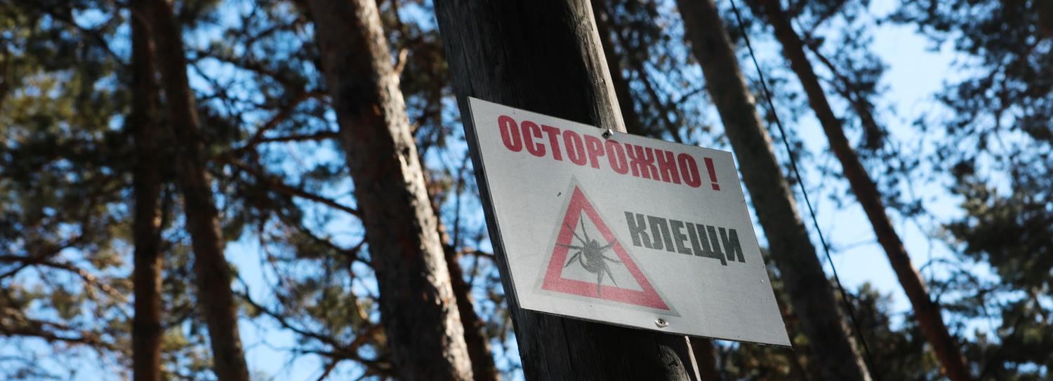 Как защититься от клещей и что делать, если вас всё-таки укусили