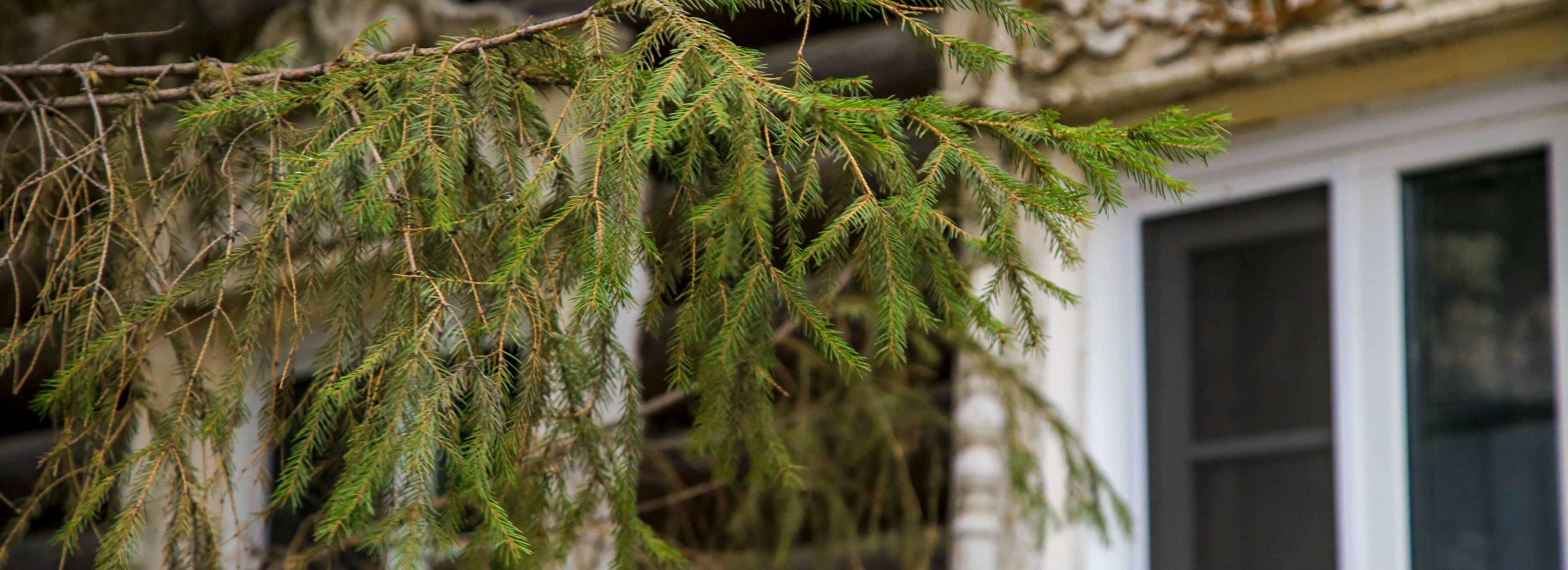 Перспективы внедрения программы «Дом за рубль» обсудят в Новосибирске