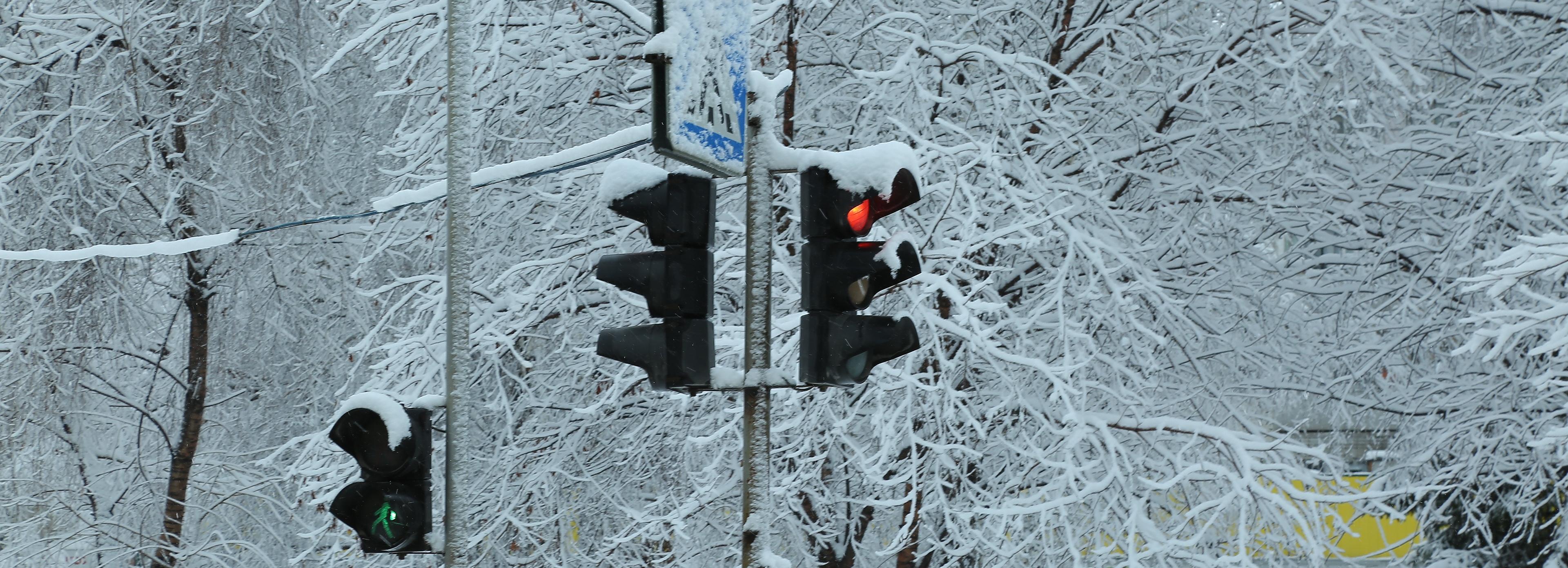 Новосибирцев предупредили о перебоях со светом из-за непогоды