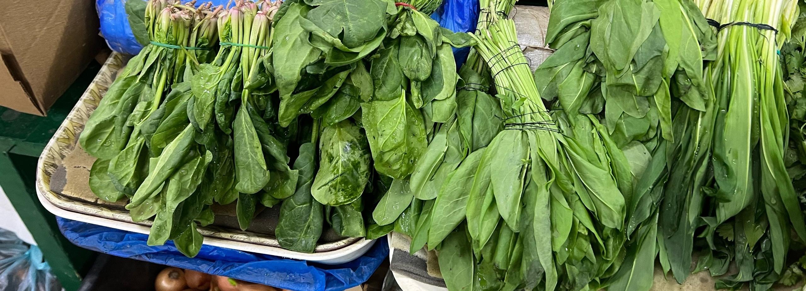 В Новосибирске начали торговать черемшой — откуда её везут