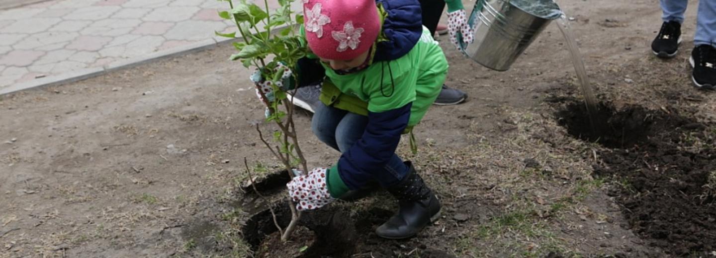 Мэр Кудрявцев поблагодарил новосибирцев за инициативы по озеленению