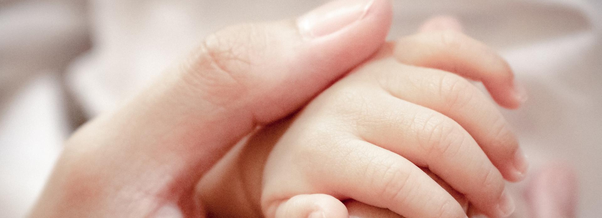 Брошенной в коробке под Новосибирском девочке нашли семью