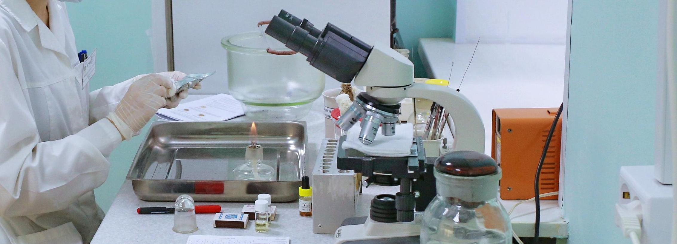 В Новосибирске создали анальгетик для животных с душистым кумарином