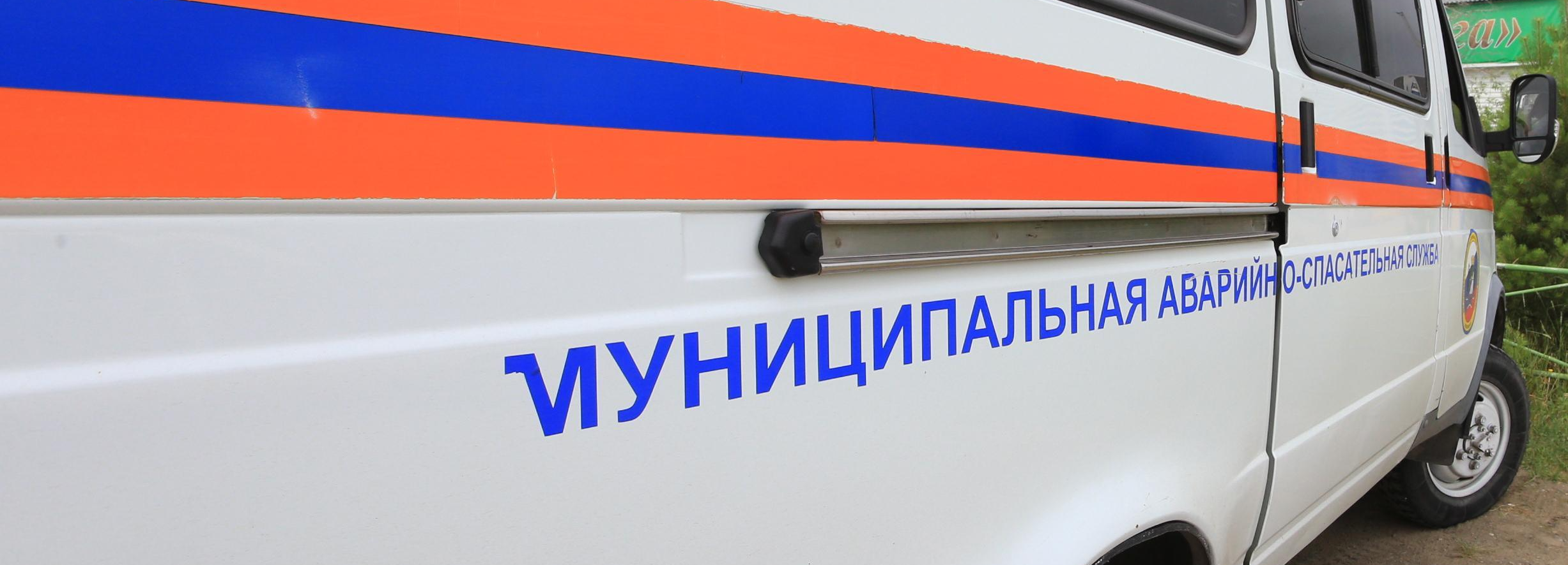 Запутавшуюся в проводах собаку вытащили из колодца в Новосибирске