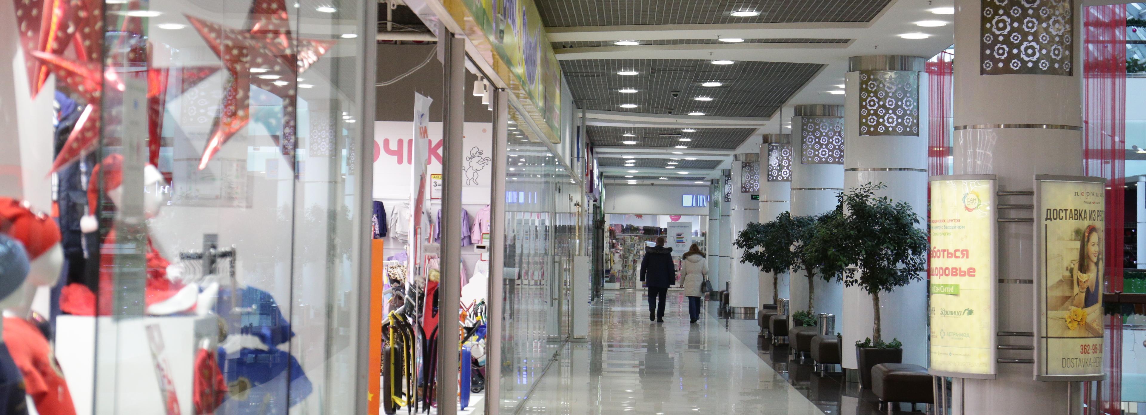 Контроль за ТРЦ Новосибирска ужесточат после толкучки в «Леруа Мерлен»